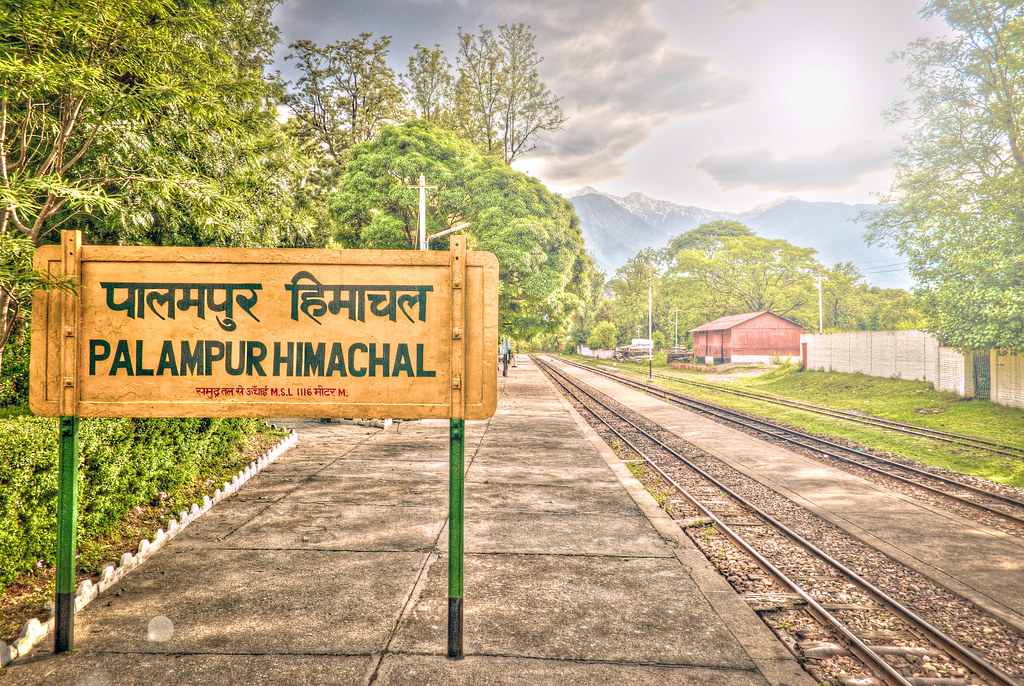 Palampur Tour Package